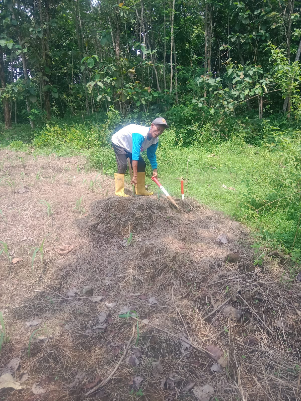 Pengukuran Tanah Desa